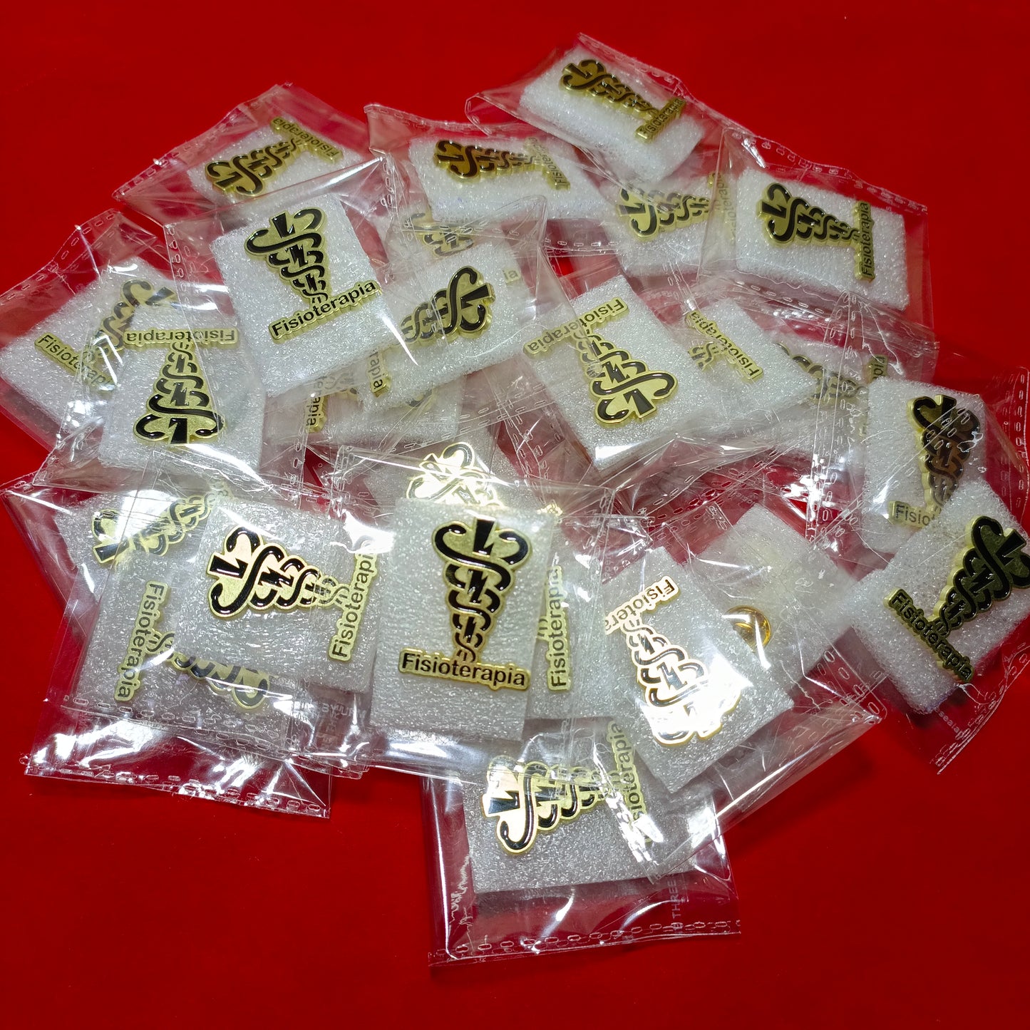 Lapel pins of Fisioterapia