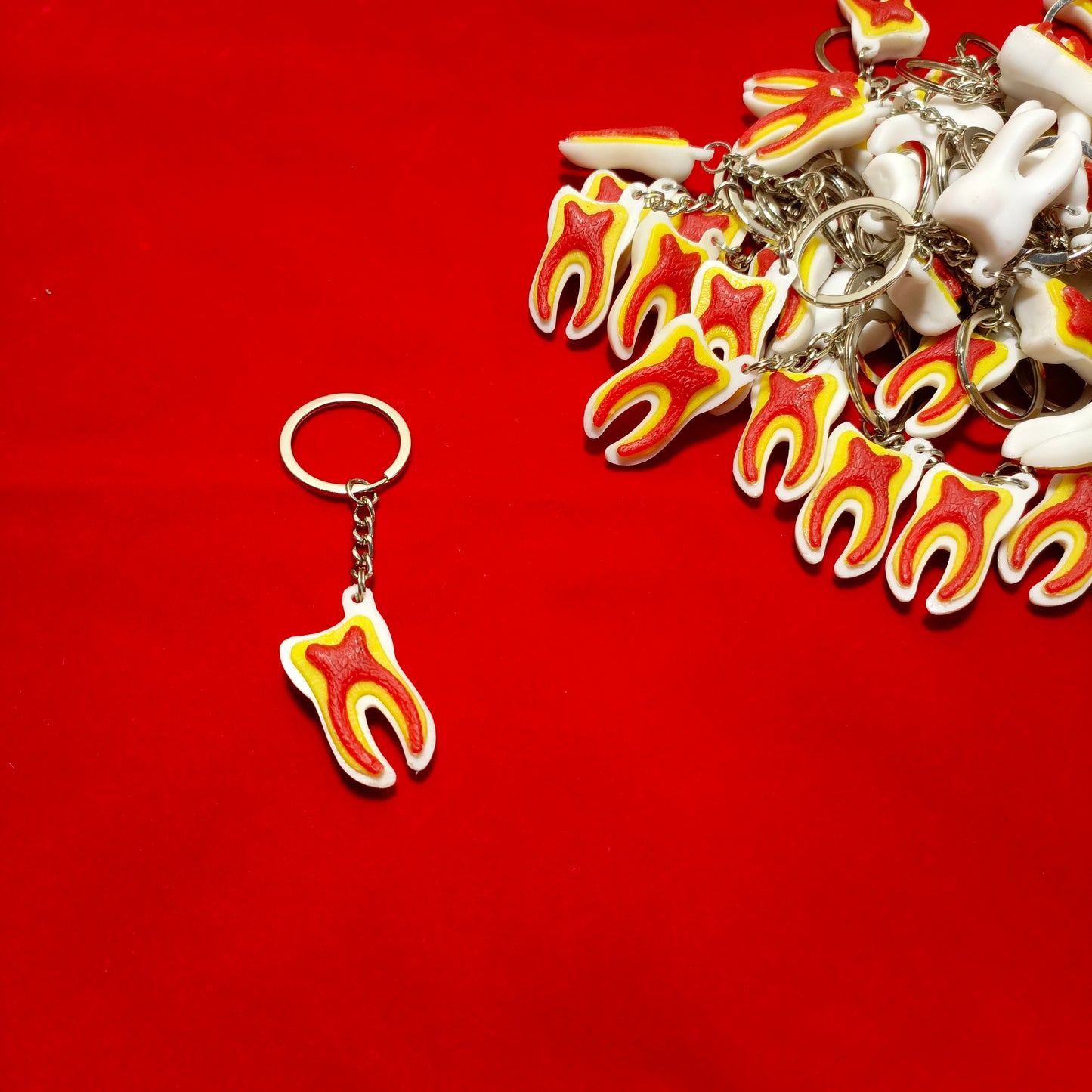 Keychain of tooth anatomy