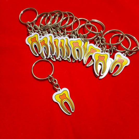 Keychain of tooth Anatomy