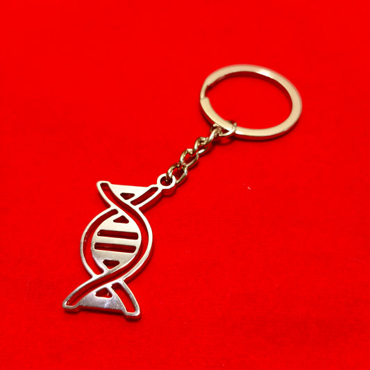 Keychain of DNA model
