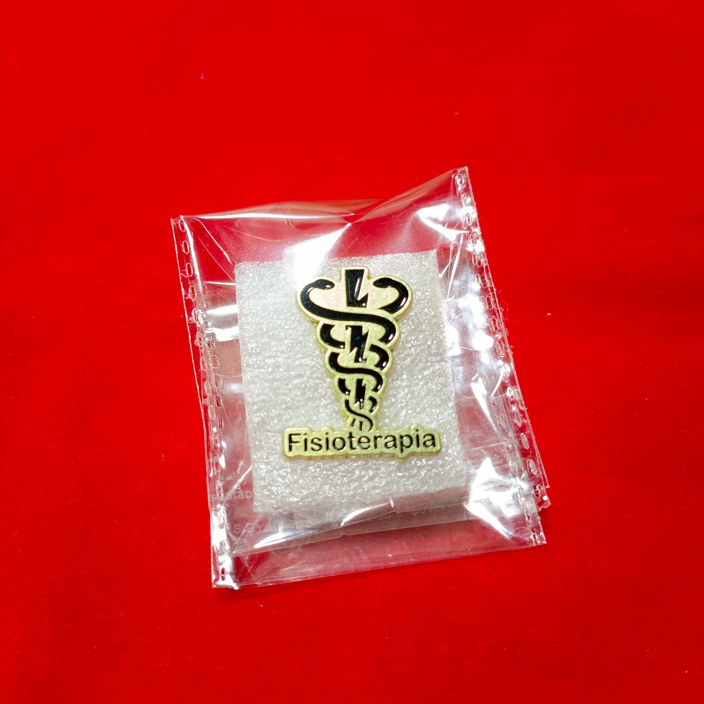 Lapel pins of Fisioterapia