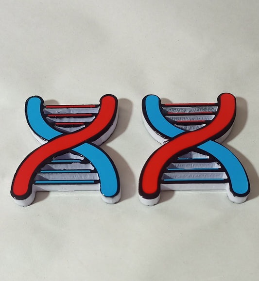 Paper Weight of DNA model