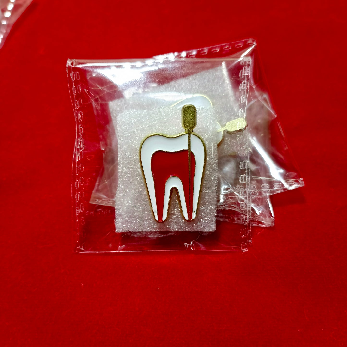 Lapel pins of tooth section view
